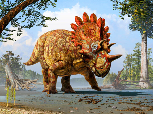 image_2879_1-Regaliceratops-peterhewsi