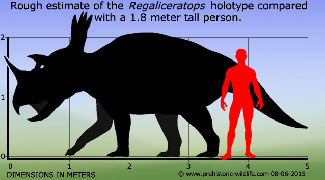 regaliceratops-size