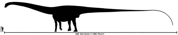 Amphicoelias - porównanie wielkości z człowiekiem. Rekonstrukcja według Carpentera.