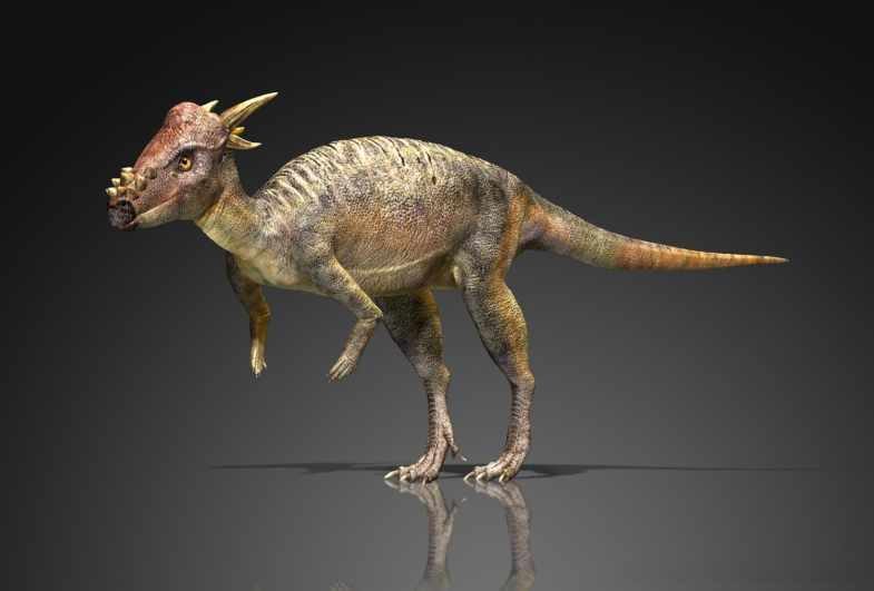 Stygimoloch był niewielkim dinozaurem roślinożernym należącym do rodziny pa...
