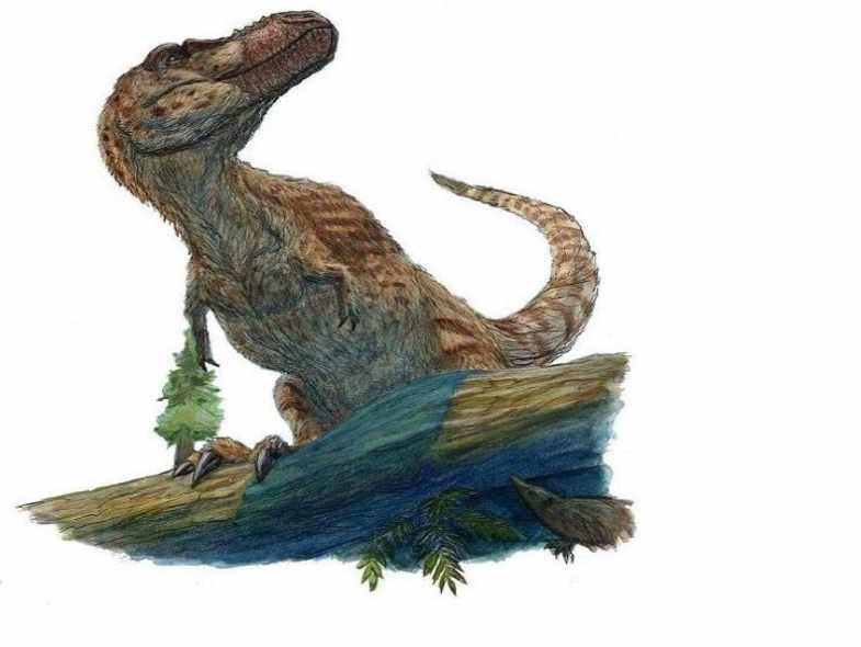 Nanuqsaurus Hoglundi | Czas Tytanów