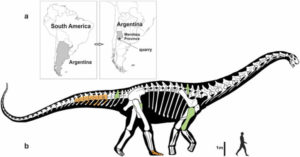 Notocolossus – jeden z największych dinozaurów | Dinosaurs World