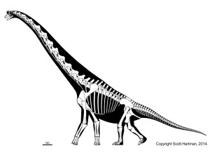 Ile Ważył Giraffatitan Brancai? | Shahen - Świat Dinozaurów