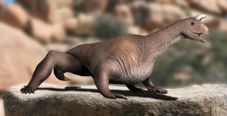 Shringasaurus indicus Blogi DinoAnimals.pl