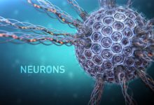 Photo of Ewolucja jest nienaukowa?