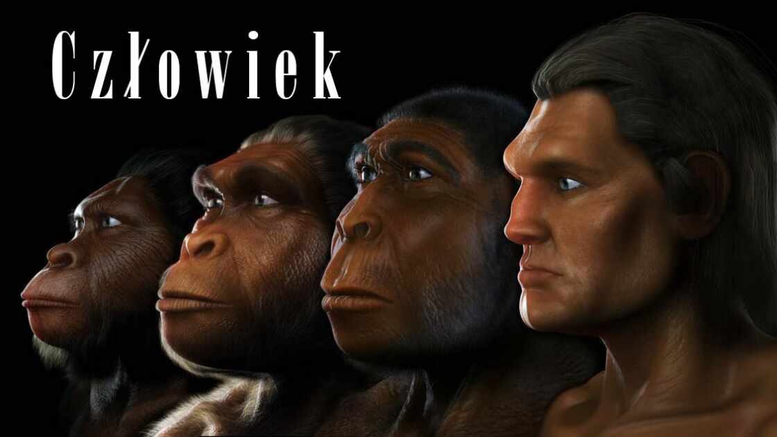 Ewolucja człowieka a teoria ewolucji | Ewolucja i Kreacjonizm