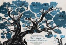 Photo of Ewolucja języka i kultury