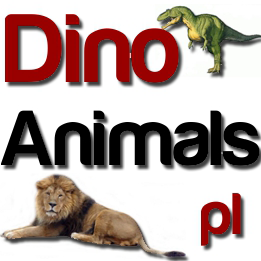 Redakcja DinoAnimals