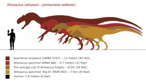 Allosaurus porównanie wielkości