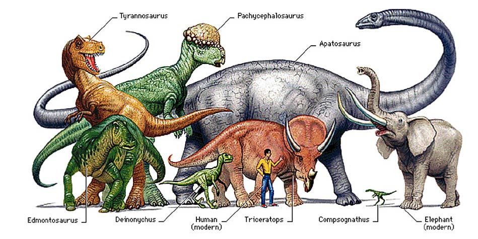 dinozaury-mity-a-rzeczywisto-dinoanimals-pl