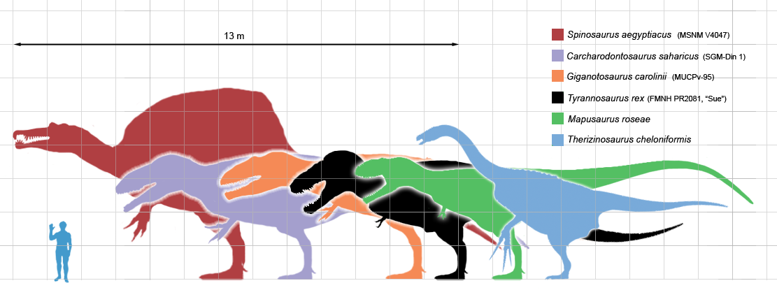 Najcięższe teropody (drapieżne dinozaury).