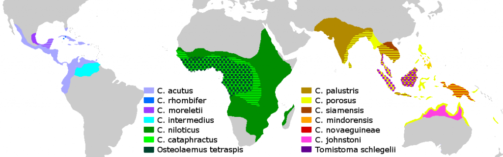 Mapa występowania krokodyli