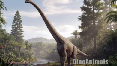 Zauroposejdon (Sauroposeidon) by DInoAnimals