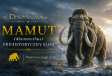 Mamut (Mammuthus)