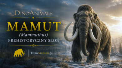 Mamut (Mammuthus)