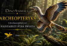 Archeopteryks (Archaeopteryx)
