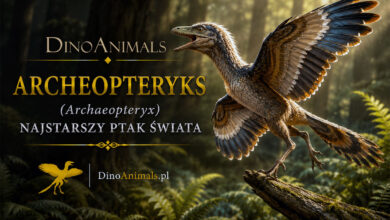 Archeopteryks (Archaeopteryx)
