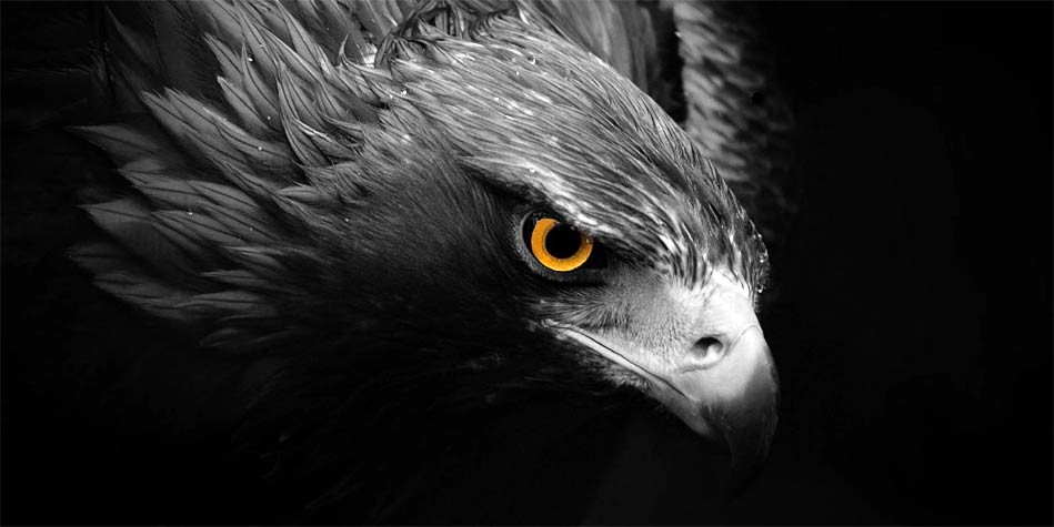 OBSERVATION: WHAT ARE ITS FACULTIES AND MOTIVATING  FORCE?