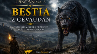 Bestia z Gévaudan