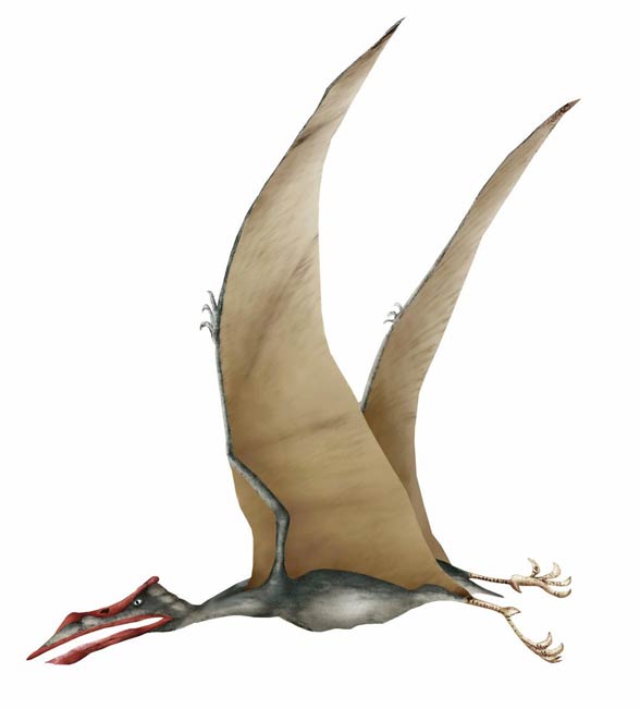 Pterozaury