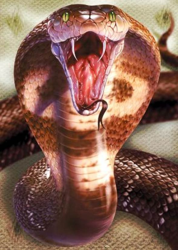 Ukąszenia węży