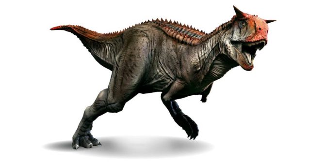 Karnotaur (Carnotaurus) | DinoAnimals.pl