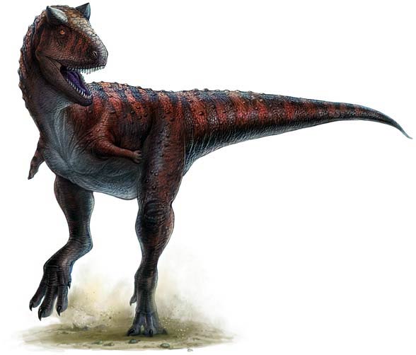Karnotaur (Carnotaurus).