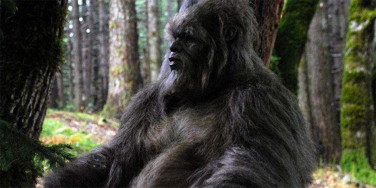 Wielka Stopa czyli Bigfoot albo Sasquatch DinoAnimals.pl