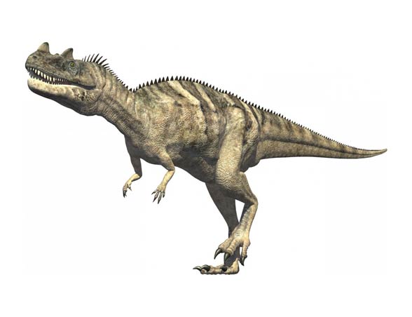 Ceratozaur (Ceratosaurus)
