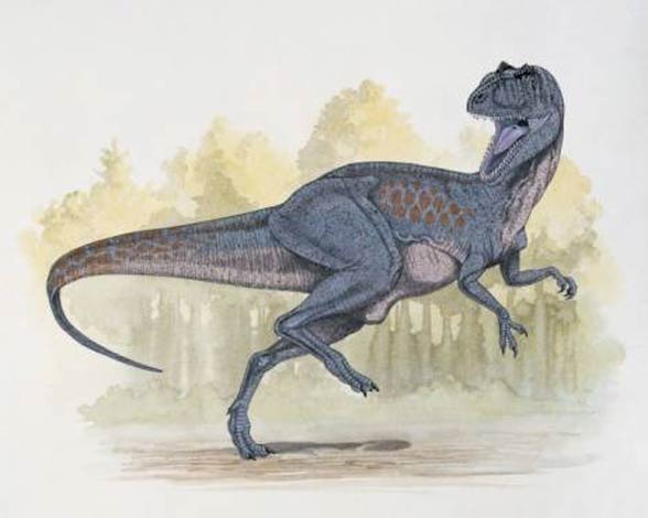 Czilantajzaur (Chilantaisaurus)