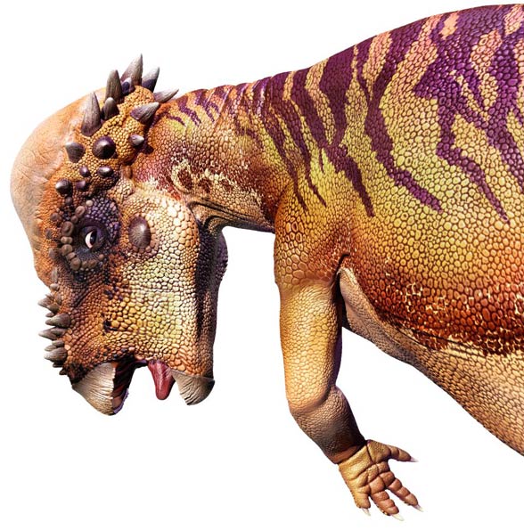 Pachycefalozaur (Pachycephalosaurus)