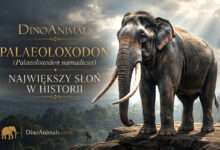 Palaeoloxodon