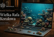 Wielka Rafa Koralowa - Podróże DinoAnimals
