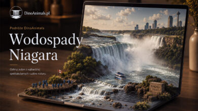 Wodospad Niagara