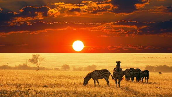 Park Narodowy Krugera