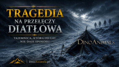 Tragedia na Przełęczy Diatłowa