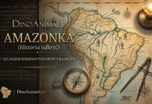 Amazonka - historia odkryć
