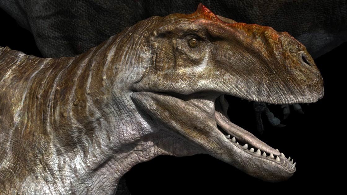 Radżazaur (Rajasaurus) DinoAnimals.pl