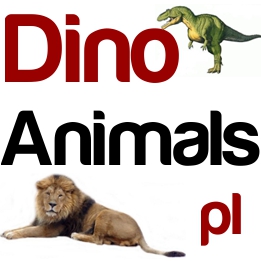 Redakcja DinoAnimals.pl