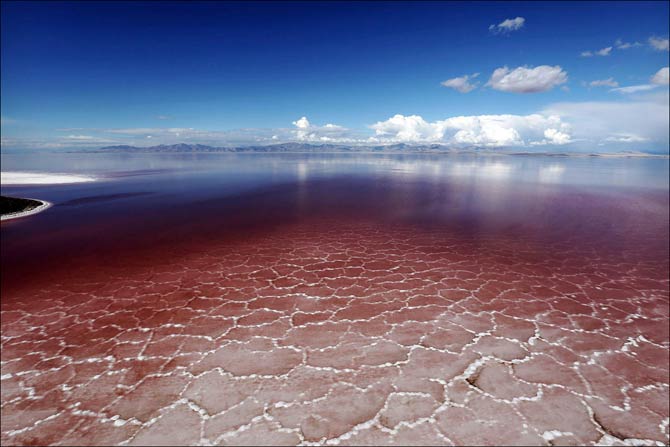 Wielkie Jezioro S one Great Salt Lake DinoAnimals pl Wielkie Jezioro S one Great Salt Lake DinoAnimals pl