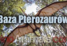Baza pterozaurów