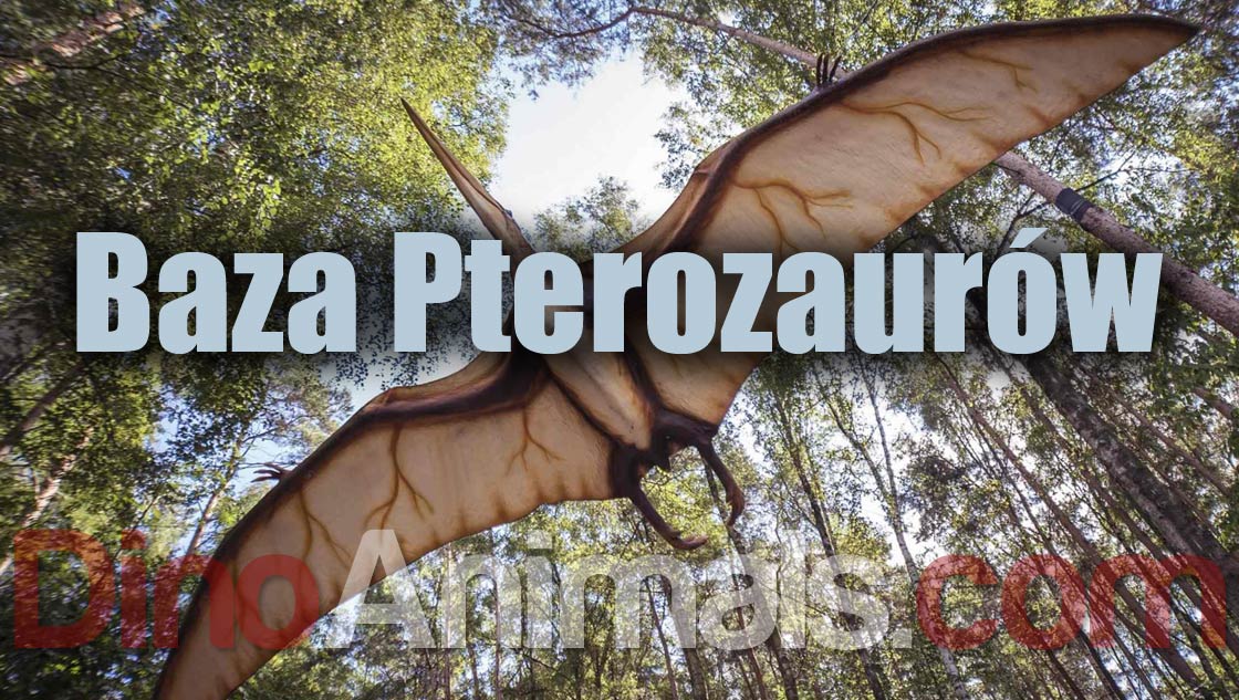 Baza pterozaurów