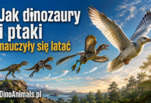 Jak dinozaury i ptaki nauczyły się latać by DInoAnimals.pl