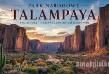 Park Narodowy Talampaya (Parque Nacional Talampaya) by DinoAnimals.pl