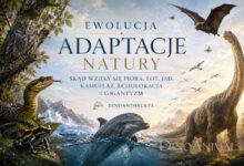 Adaptacje natury