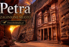 Petra - zaginione miasto by DinoAnimals