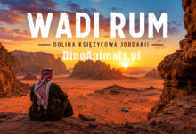 Wadi Rum by DinoAnimals.pl
