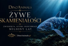 Żywe skamieniałości