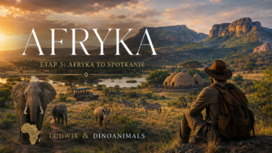 Afryka to spotkanie