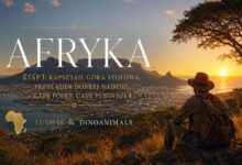 Afryka Ludwika & DinoAnimals Etap 1